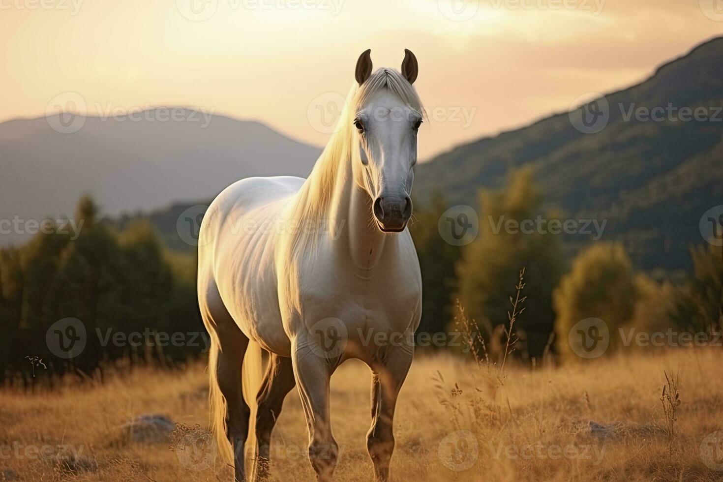 ai gerado branco cavalo ou égua dentro a montanhas às pôr do sol. ai gerado foto