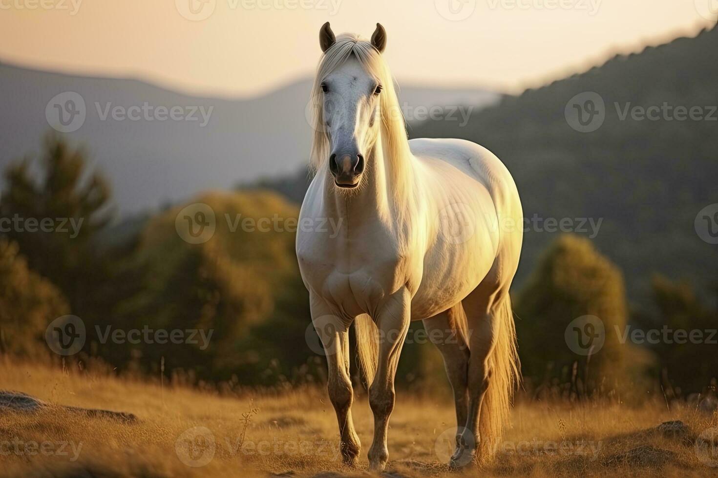 ai gerado branco cavalo ou égua dentro a montanhas às pôr do sol. ai gerado foto