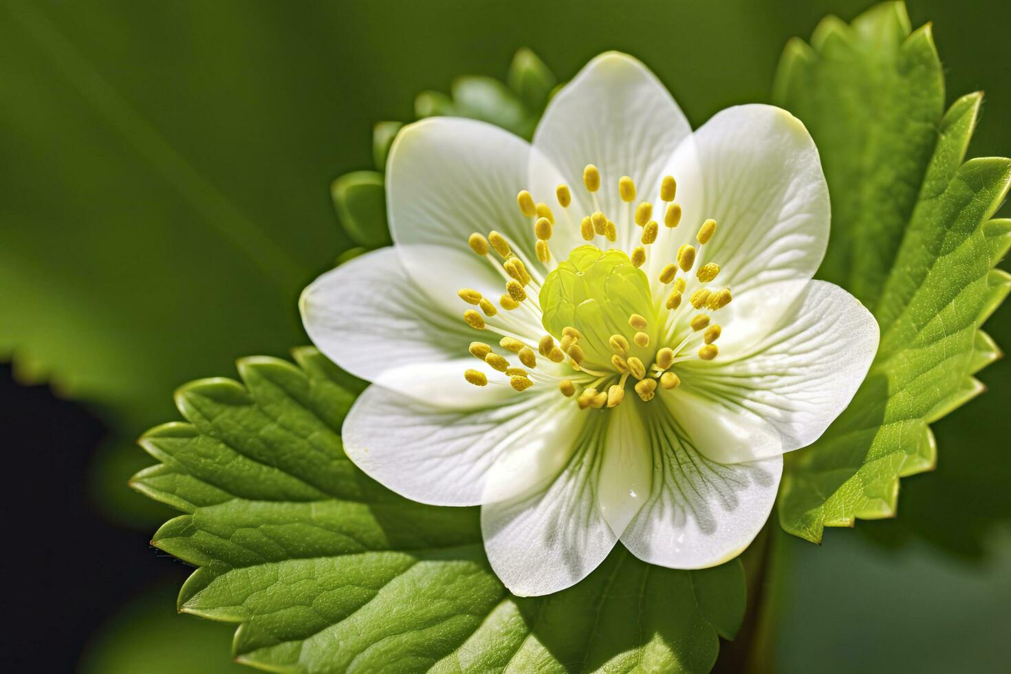 ai gerado morango flor. ai gerado foto