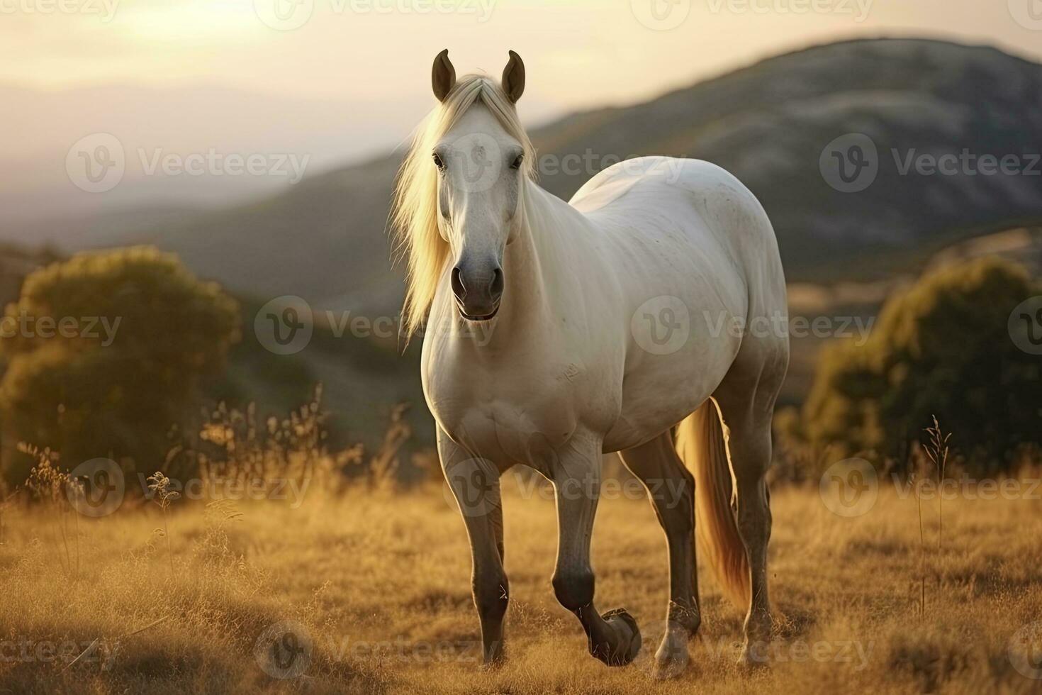 ai gerado branco cavalo ou égua dentro a montanhas às pôr do sol. ai gerado foto