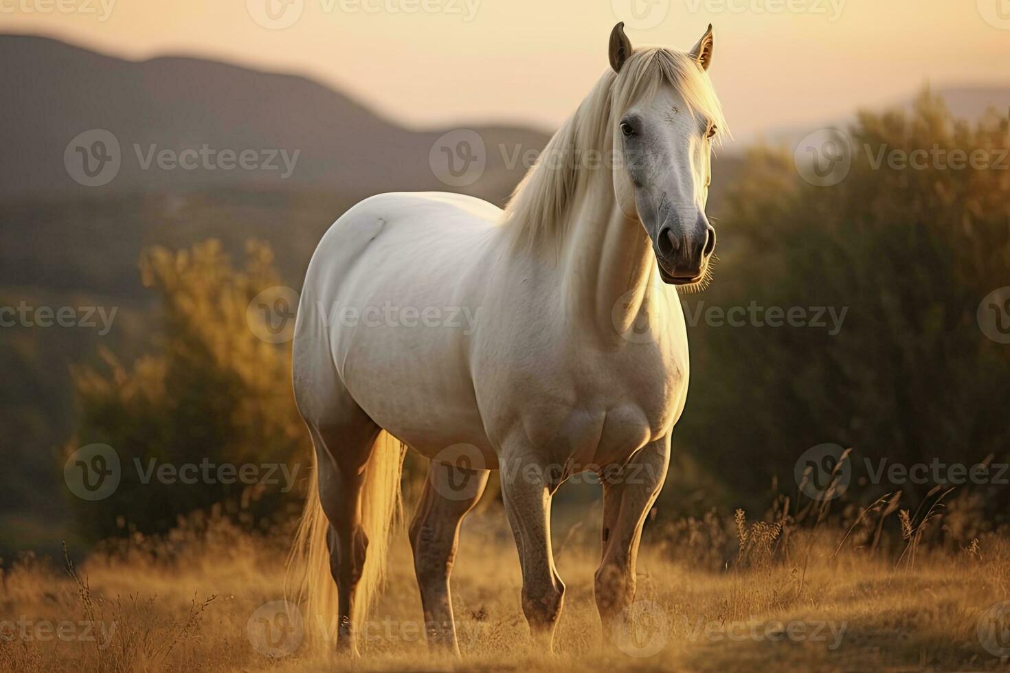 ai gerado branco cavalo ou égua dentro a montanhas às pôr do sol. ai gerado foto