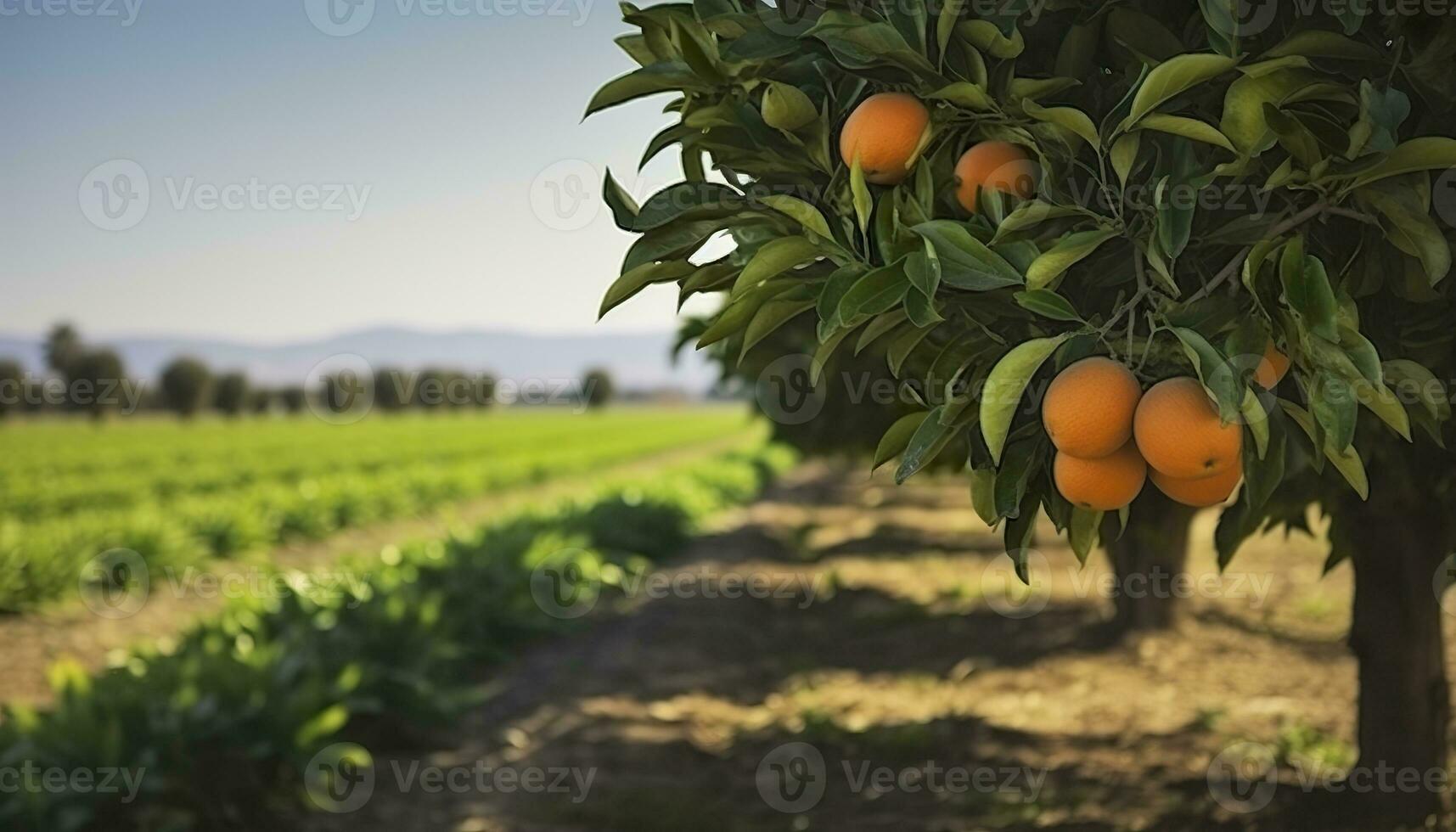 ai gerado a laranja árvore é dentro a primeiro plano com uma Fazenda campo fundo. generativo ai foto