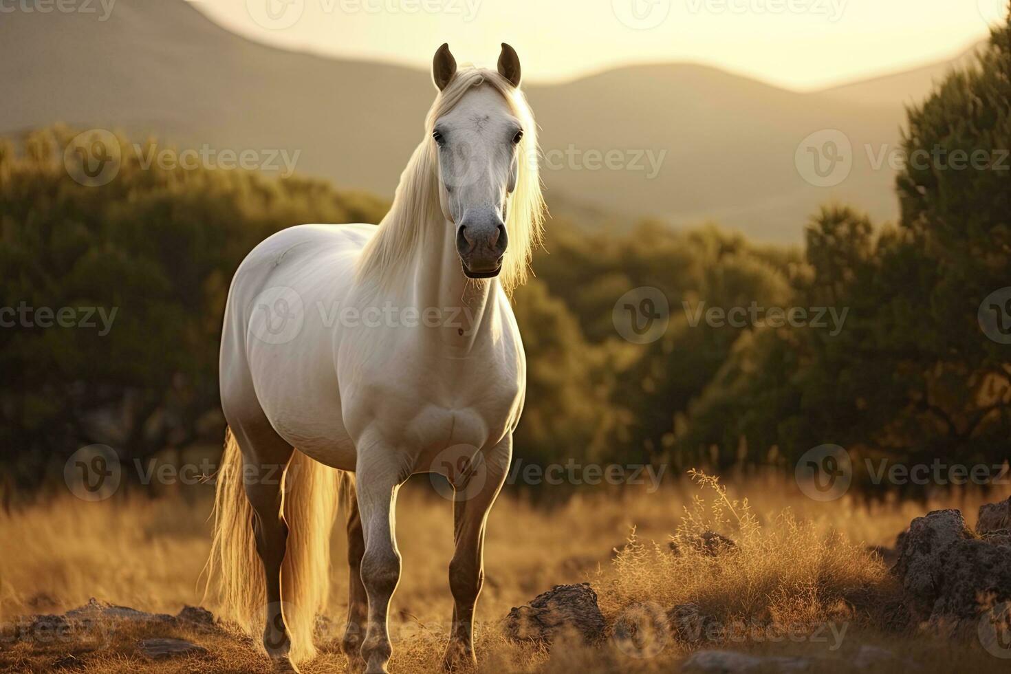 ai gerado branco cavalo ou égua dentro a montanhas às pôr do sol. ai gerado foto