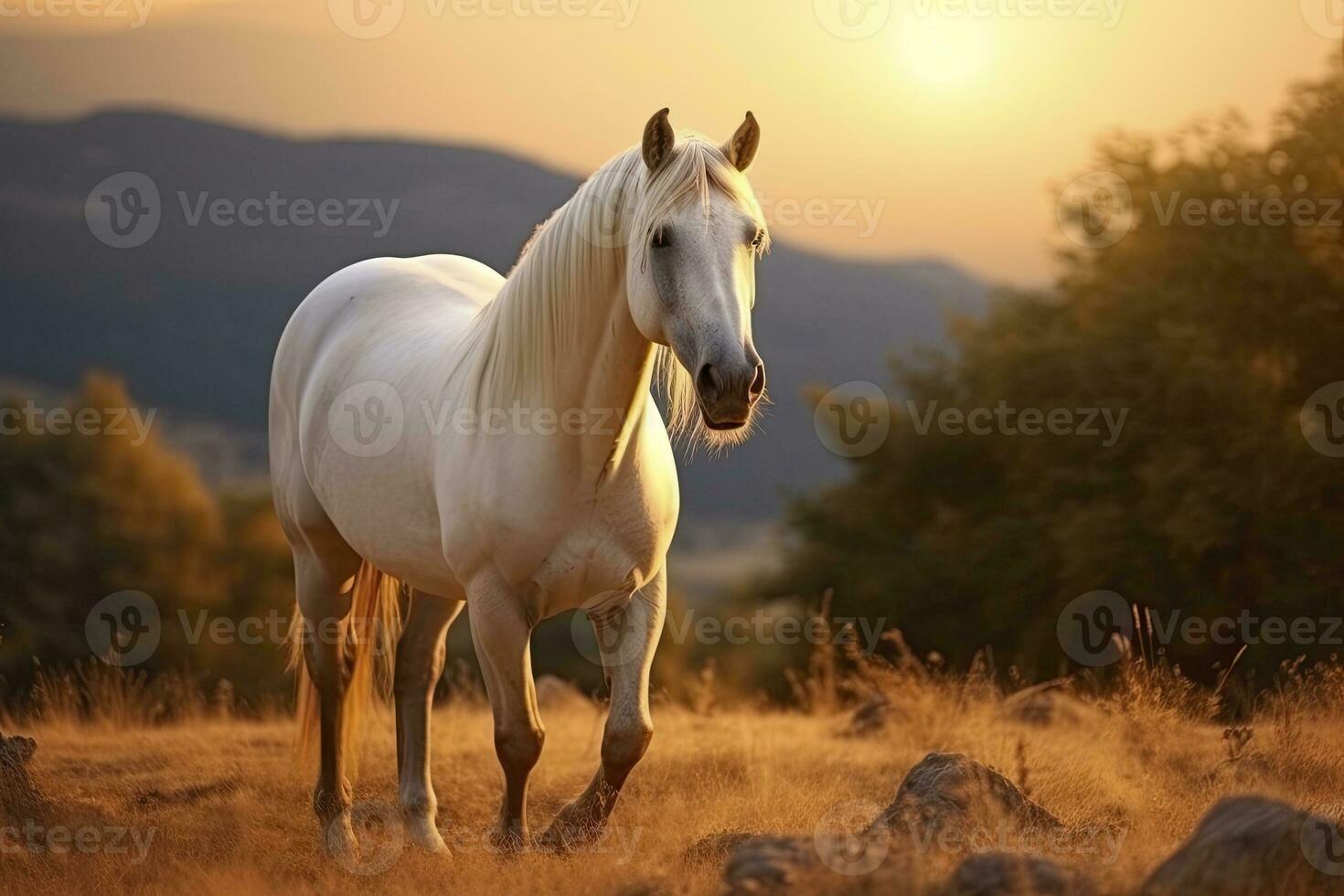 ai gerado branco cavalo ou égua dentro a montanhas às pôr do sol. ai gerado foto