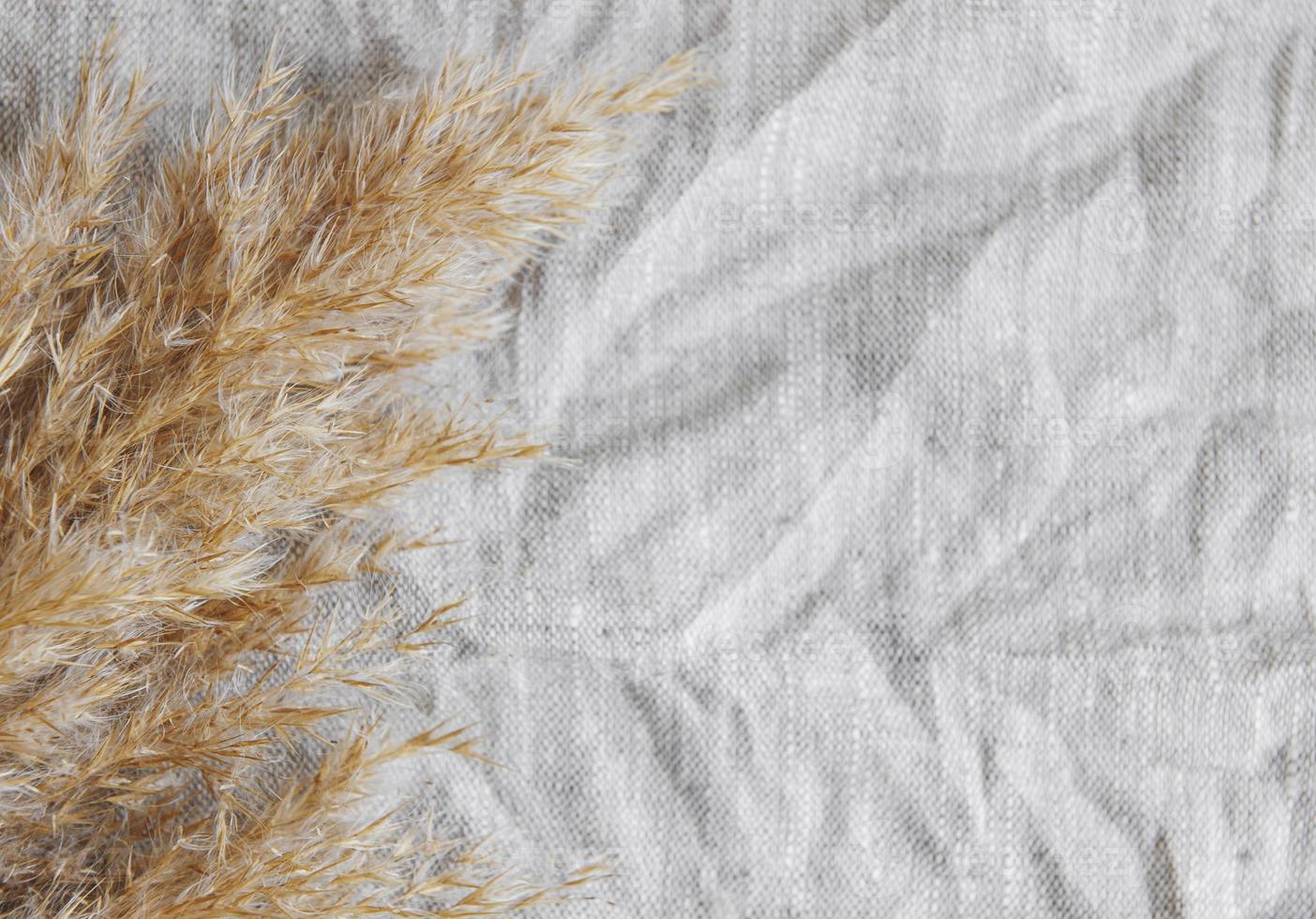 flatlay de grama dos pampas em fundo cinza têxtil foto