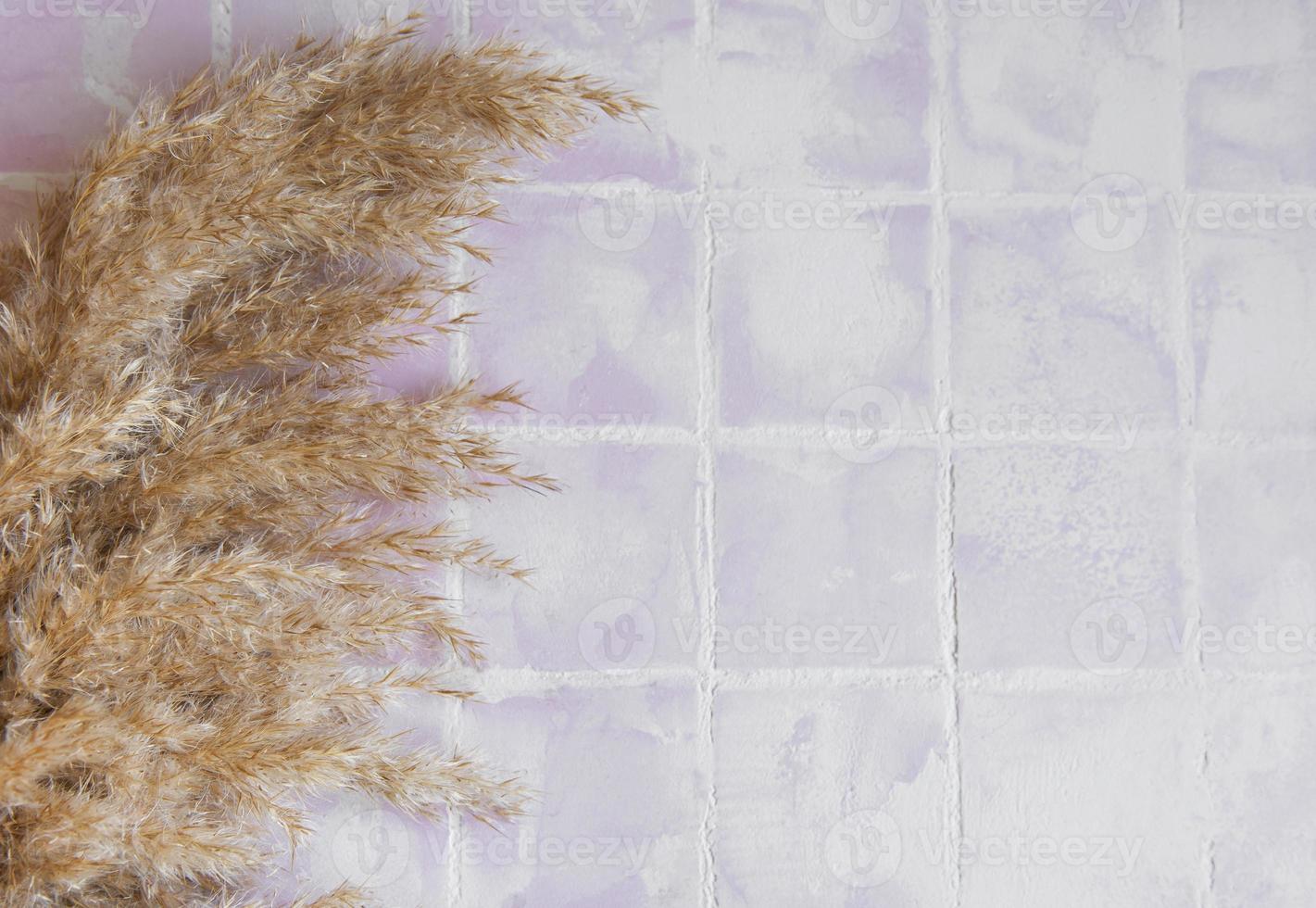 flatlay de grama de pampas em fundo de ladrilho foto