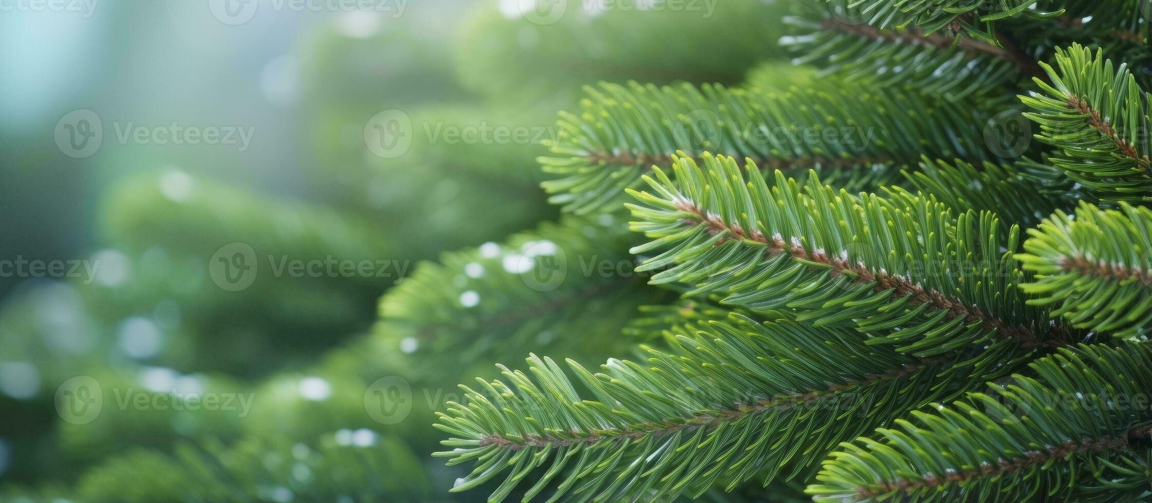 ai gerado Natal árvore galhos em uma natural fundo. ai gerado foto