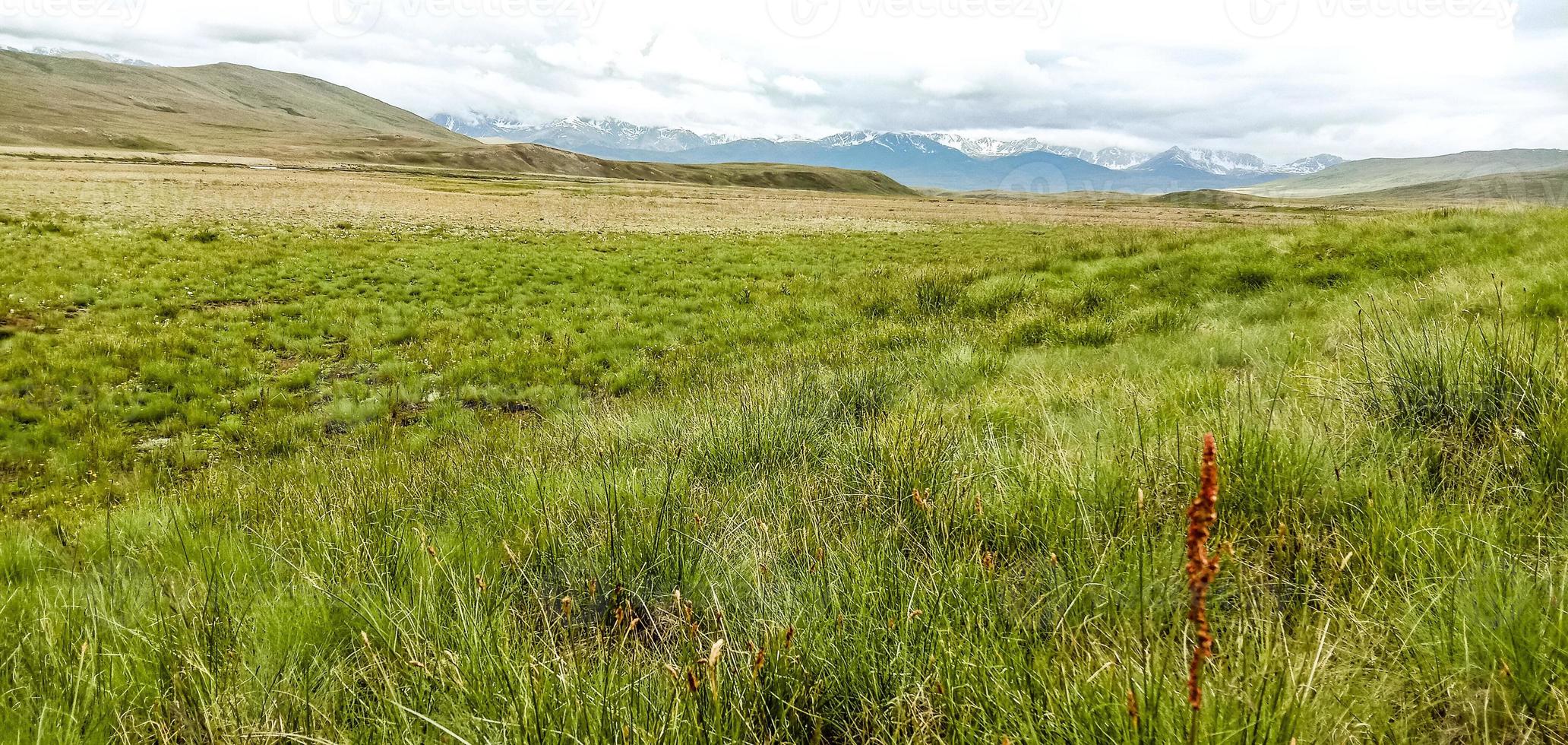 parque nacional deosai foto