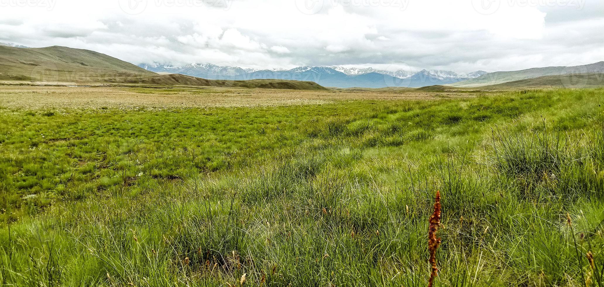 parque nacional deosai foto