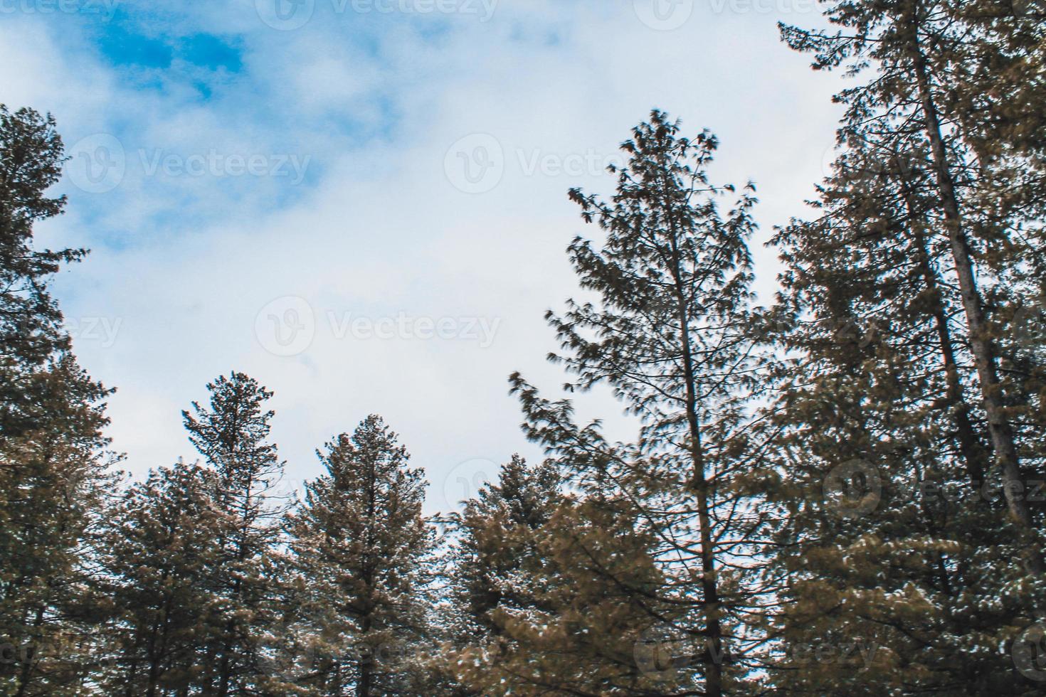 malam jabba e kalam swat paisagem paisagem foto