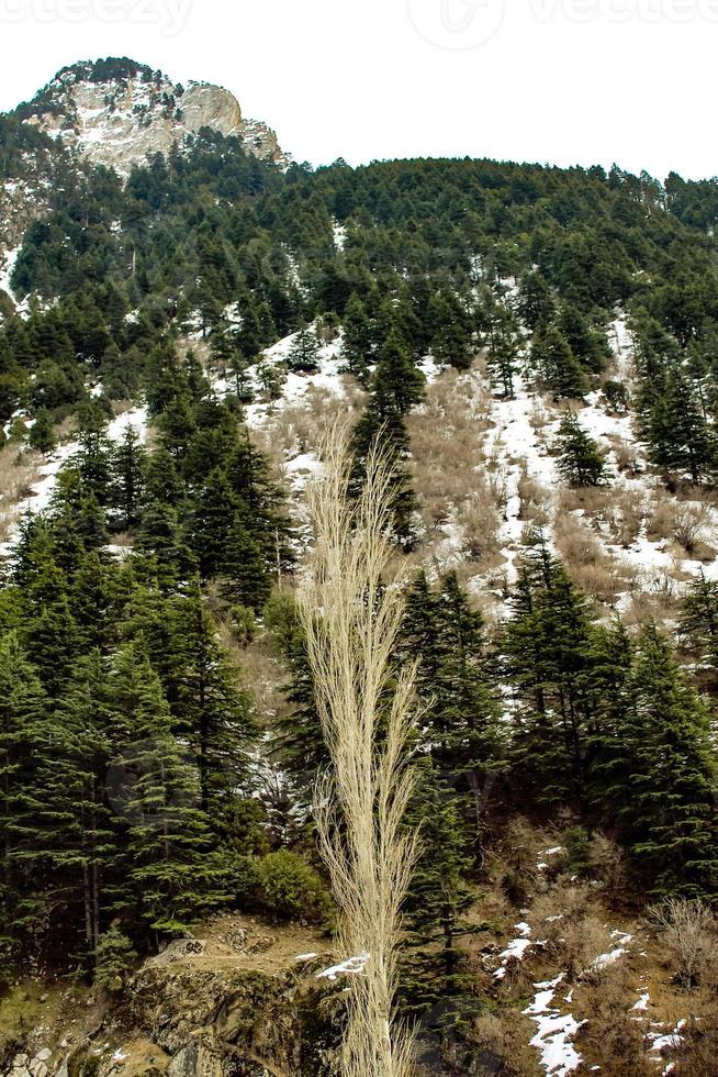 malam jabba e kalam swat paisagem paisagem foto