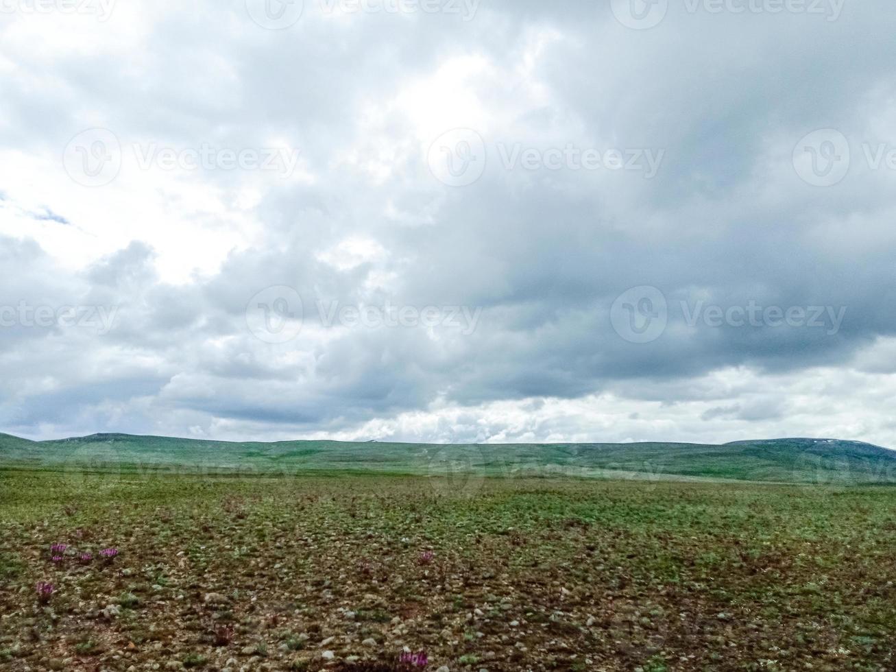 parque nacional deosai foto