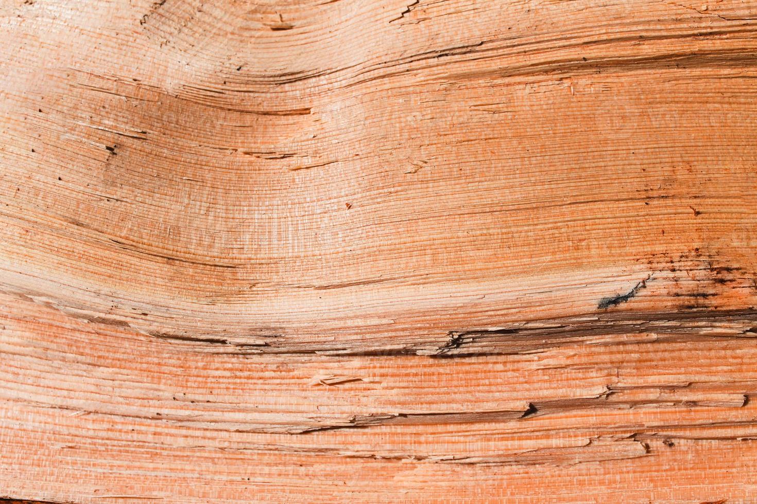 superfície da árvore closeup de fundo de madeira foto