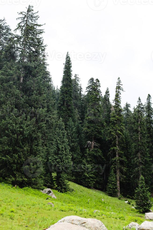 Kumrat Valley Beautiful Landscape Mountain View foto