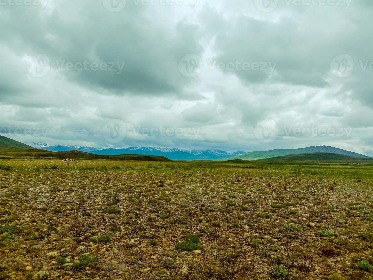 parque nacional deosai foto