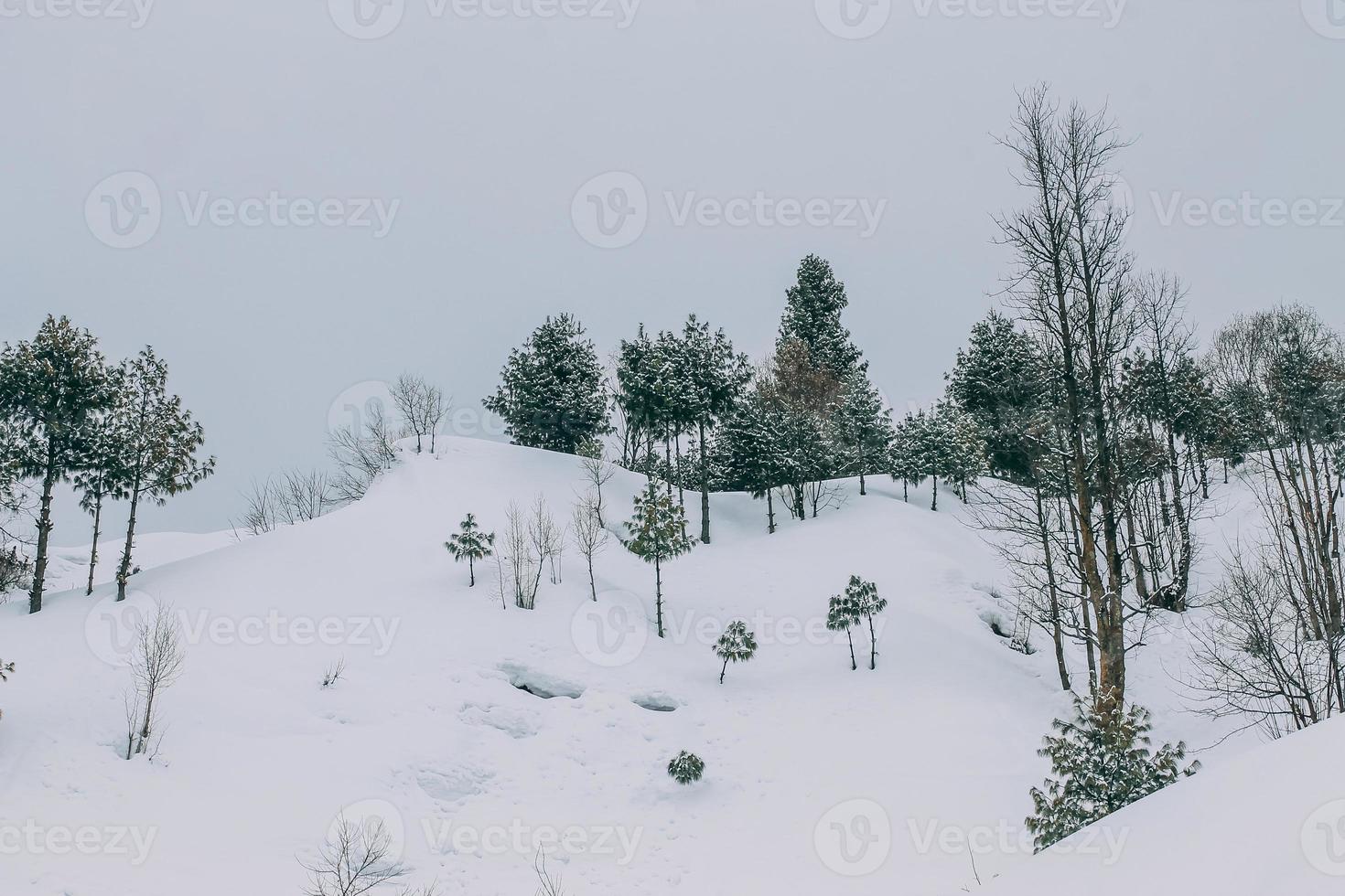 malam jabba e kalam swat paisagem paisagem foto