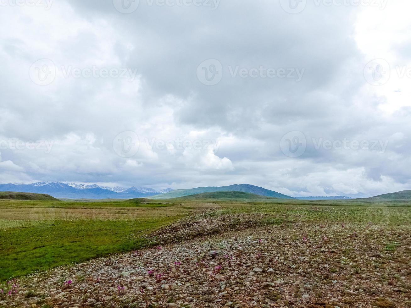 parque nacional deosai foto