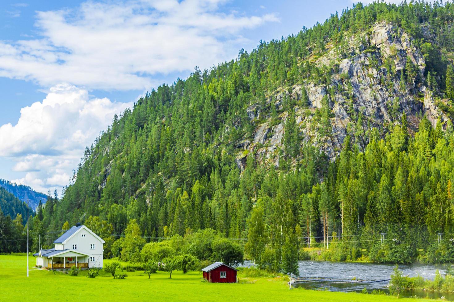 dirigindo pela Noruega em uma vila de verão, montanhas e vista do fiorde foto