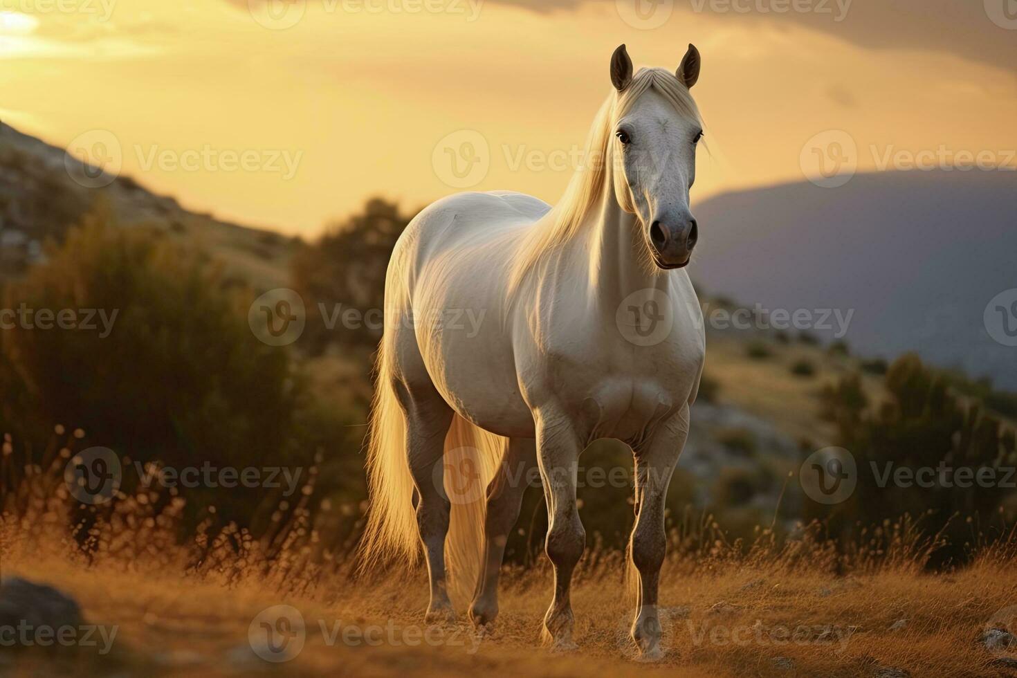 ai gerado branco cavalo ou égua dentro a montanhas às pôr do sol. ai gerado foto