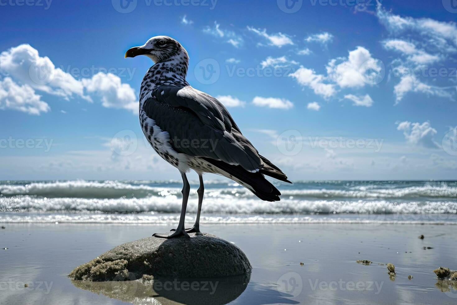 ai gerado gaivota em a de praia debaixo azul céu. foto