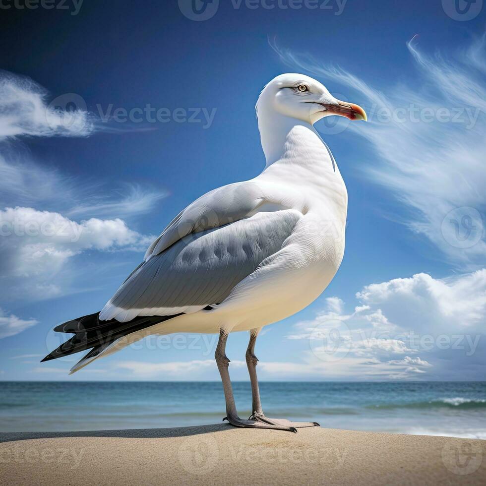 ai gerado gaivota em a de praia debaixo azul céu. foto