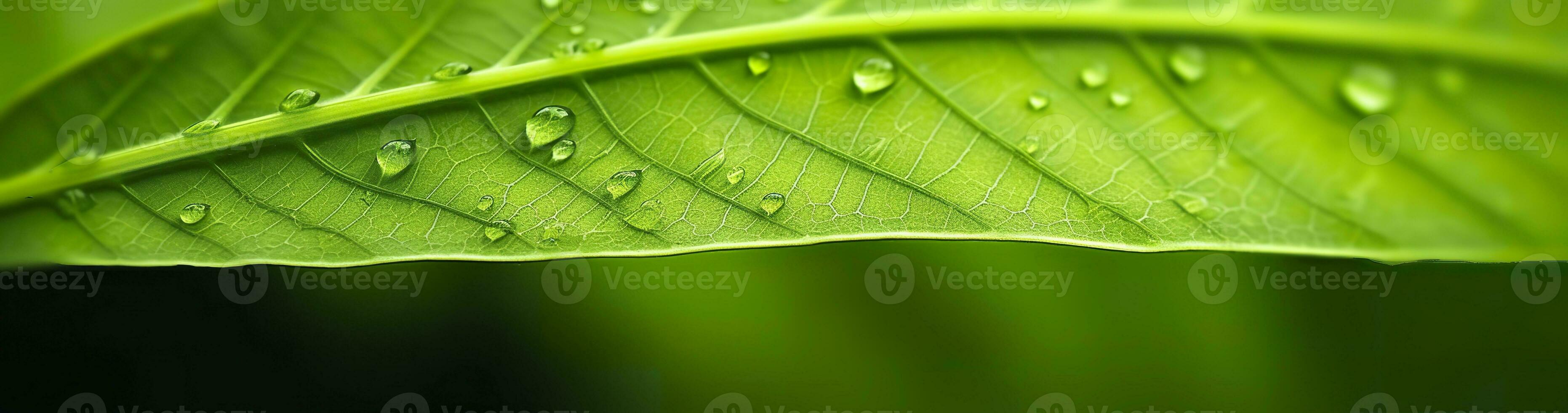 ai gerado verde folha natureza fundo. ai gerado foto