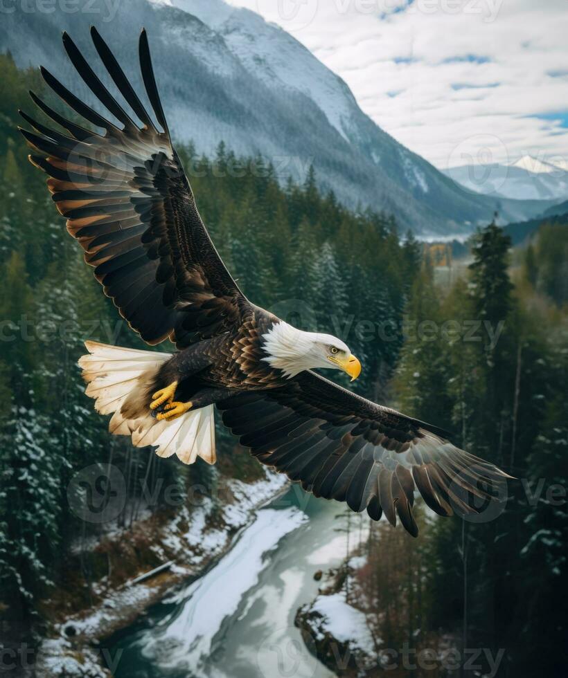 ai gerado americano Careca Águia dentro a natureza fundo foto