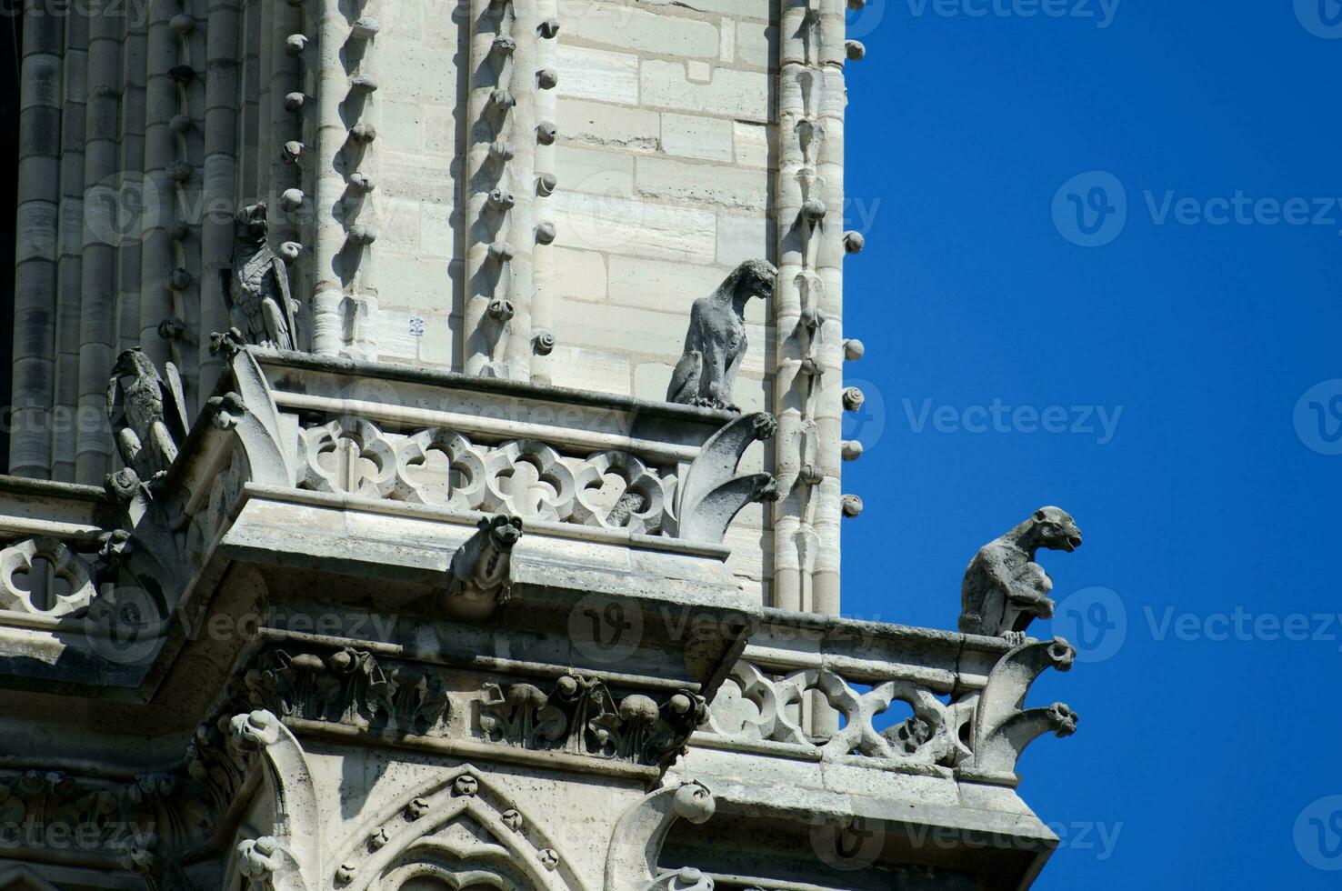 a surpreendente gárgulas do notre dame de Paris dentro França. uma gótico construção construído durante medieval vezes, é casa para uma número do esculturas, Incluindo muitos gárgulas. foto