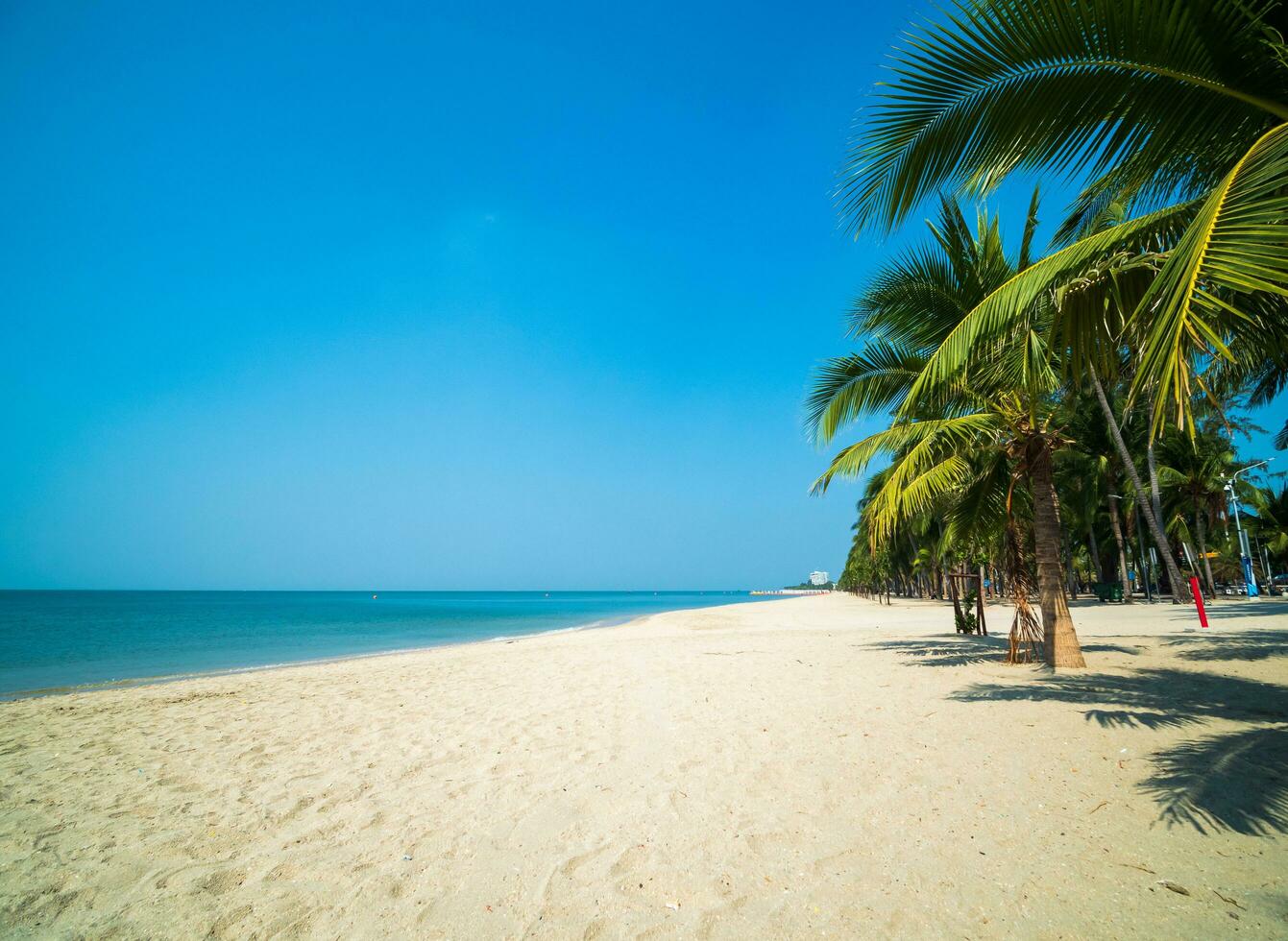 panorama verão panorama vista frontal palmeiras e coqueiros mar praia azul areia branca céu fundo calma natureza oceano bonita onda agua viagem bangsaen praia leste tailândia chonburi foto