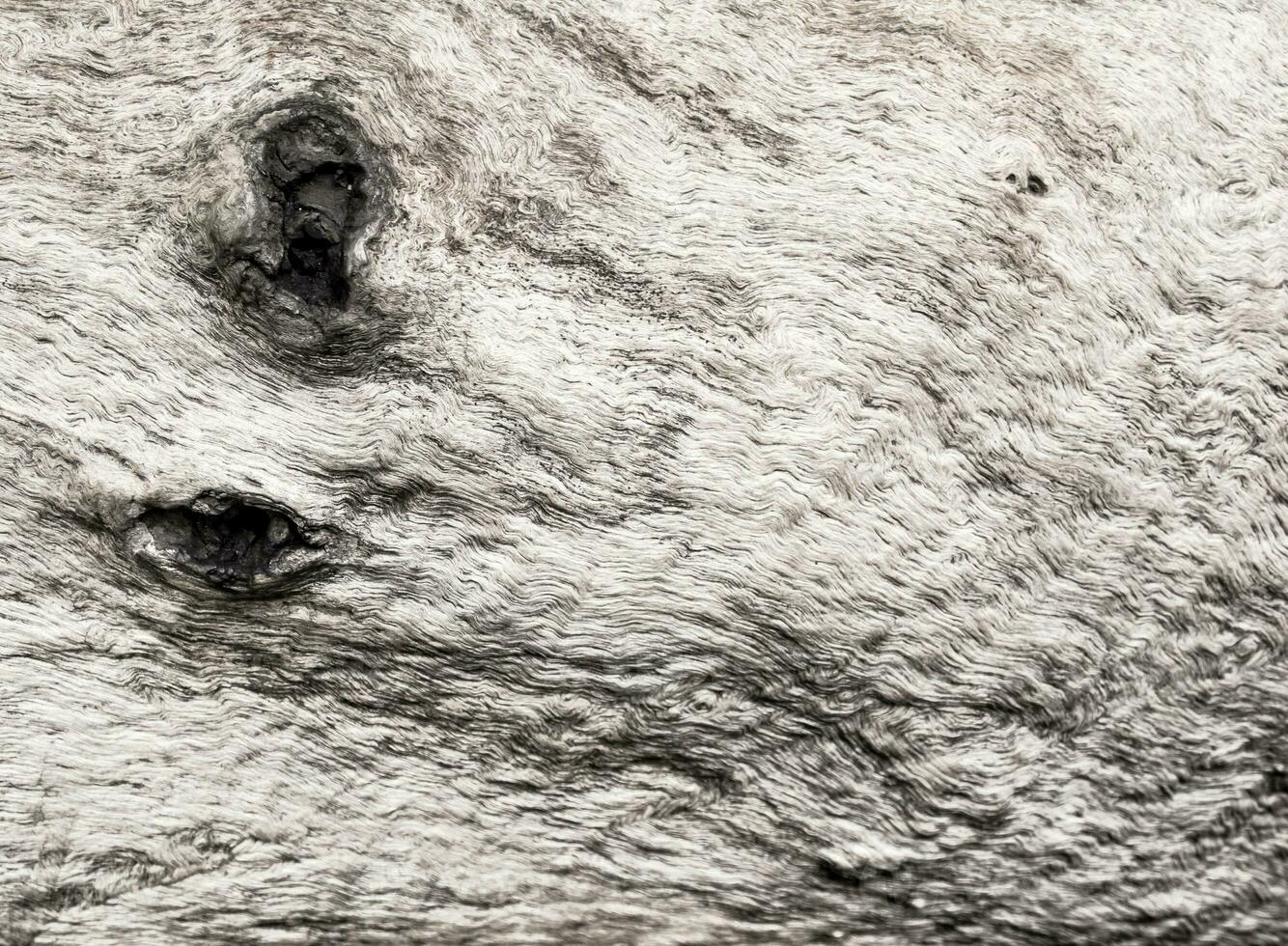 perto da textura da superfície do toco velho, textura de madeira foto