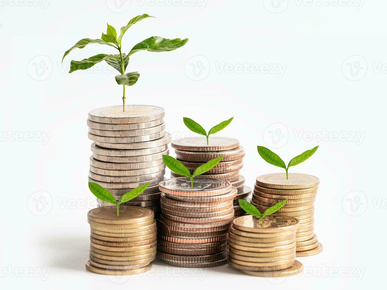 árvore plúmula folha em Salve  dinheiro pilha moedas, o negócio finança salvando bancário investimento conceito. foto