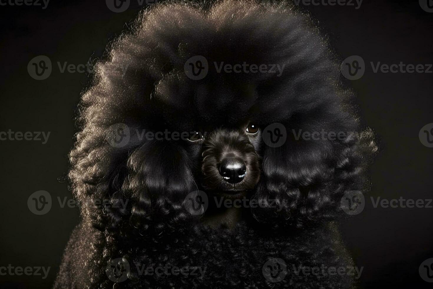 ai gerado retrato do uma poodle cachorro em uma Preto fundo. neural rede ai gerado foto