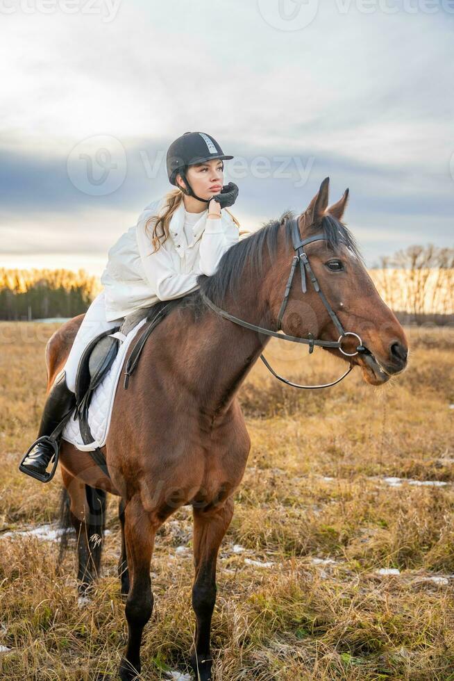 lindo loiro profissional fêmea jóquei equitação uma cavalo dentro campo. amizade com cavalo. Alto qualidade foto