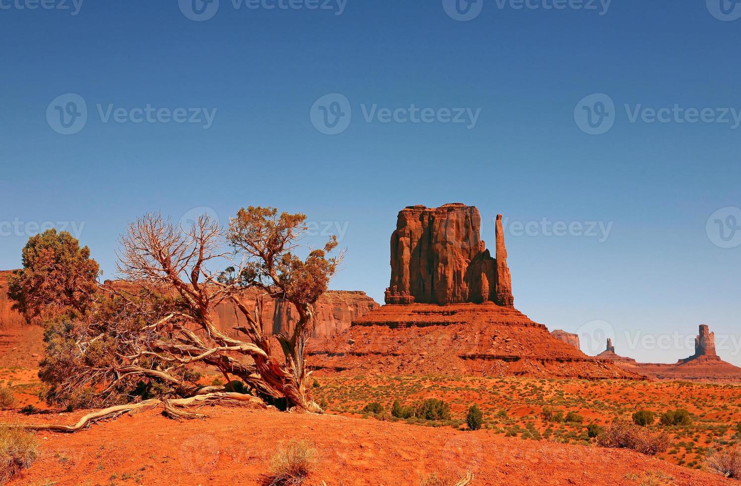 paisagem da nação navajo do vale do monumento foto