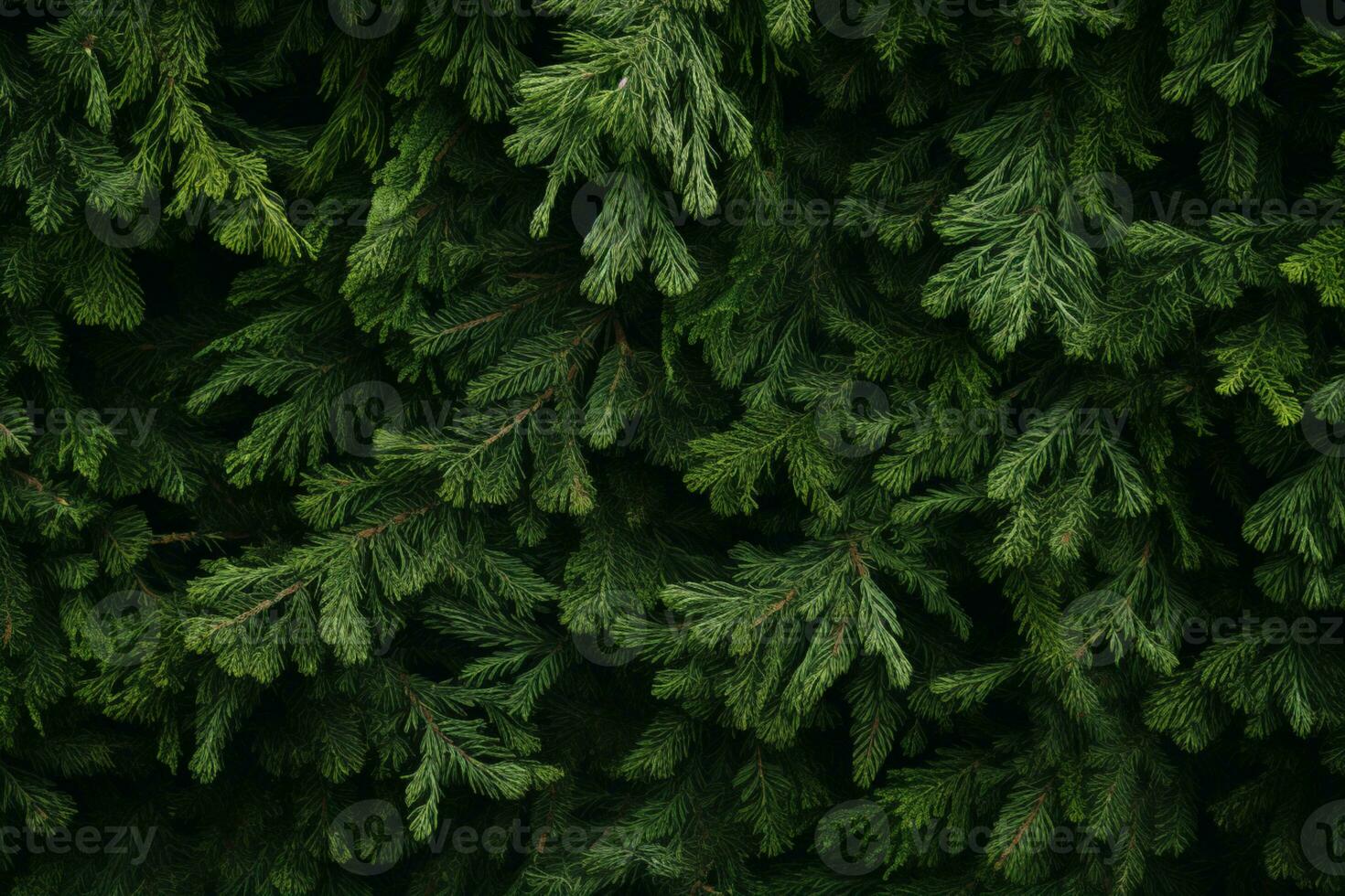 ai gerado Natal árvore galhos natural papel de parede natural pano de fundo para seu Projeto plano deitar cópia de espaço foto