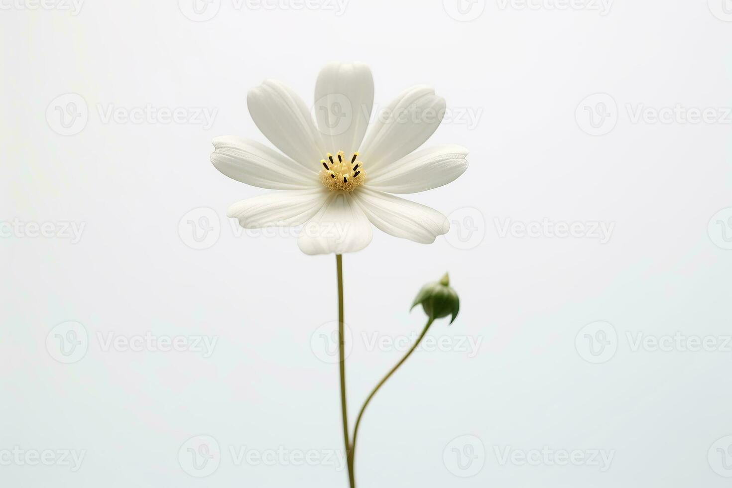 uma solteiro branco flor em uma avião fundo generativo ai foto