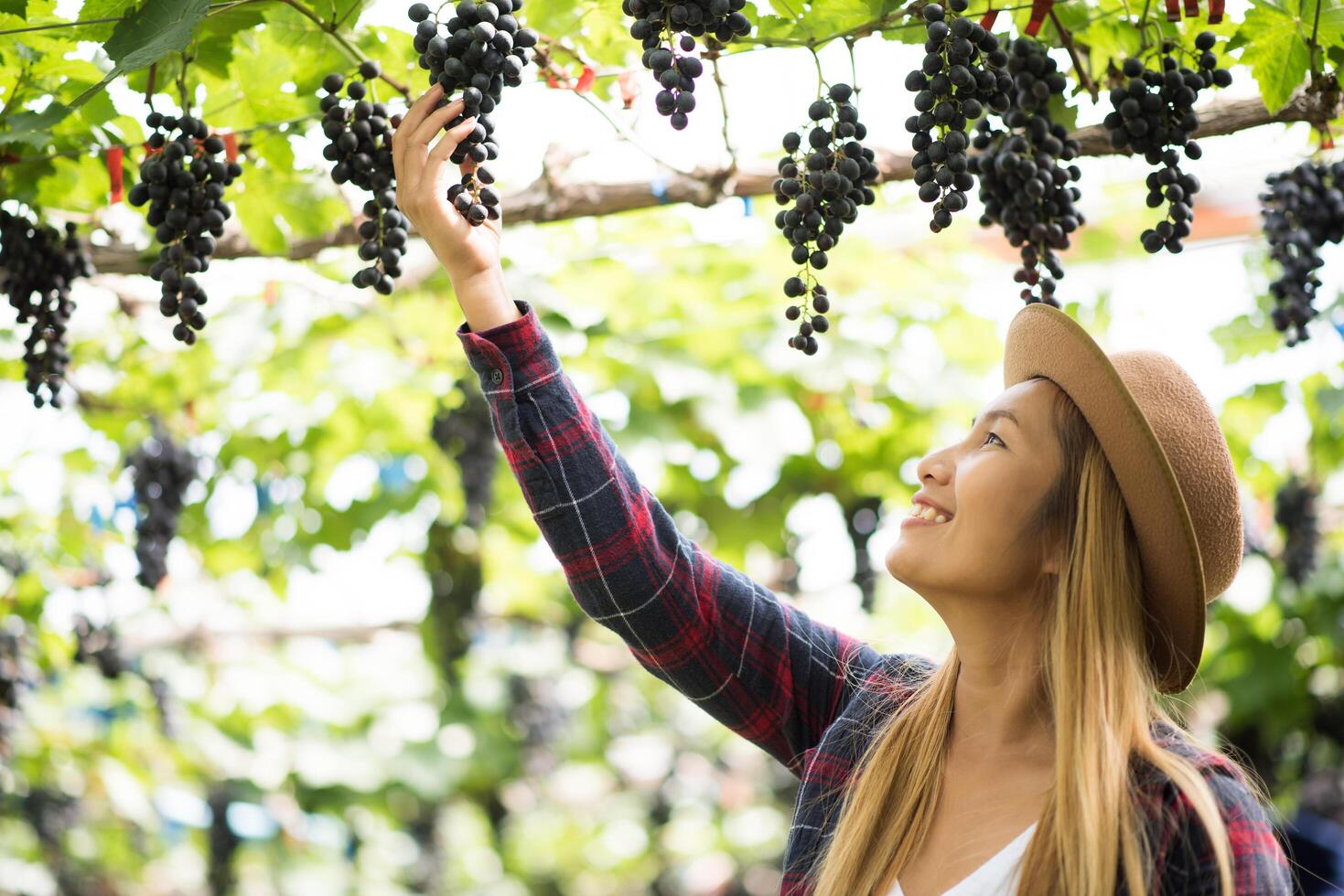 feliz jardineiro de mulheres jovens segurando ramos de uva azul madura foto