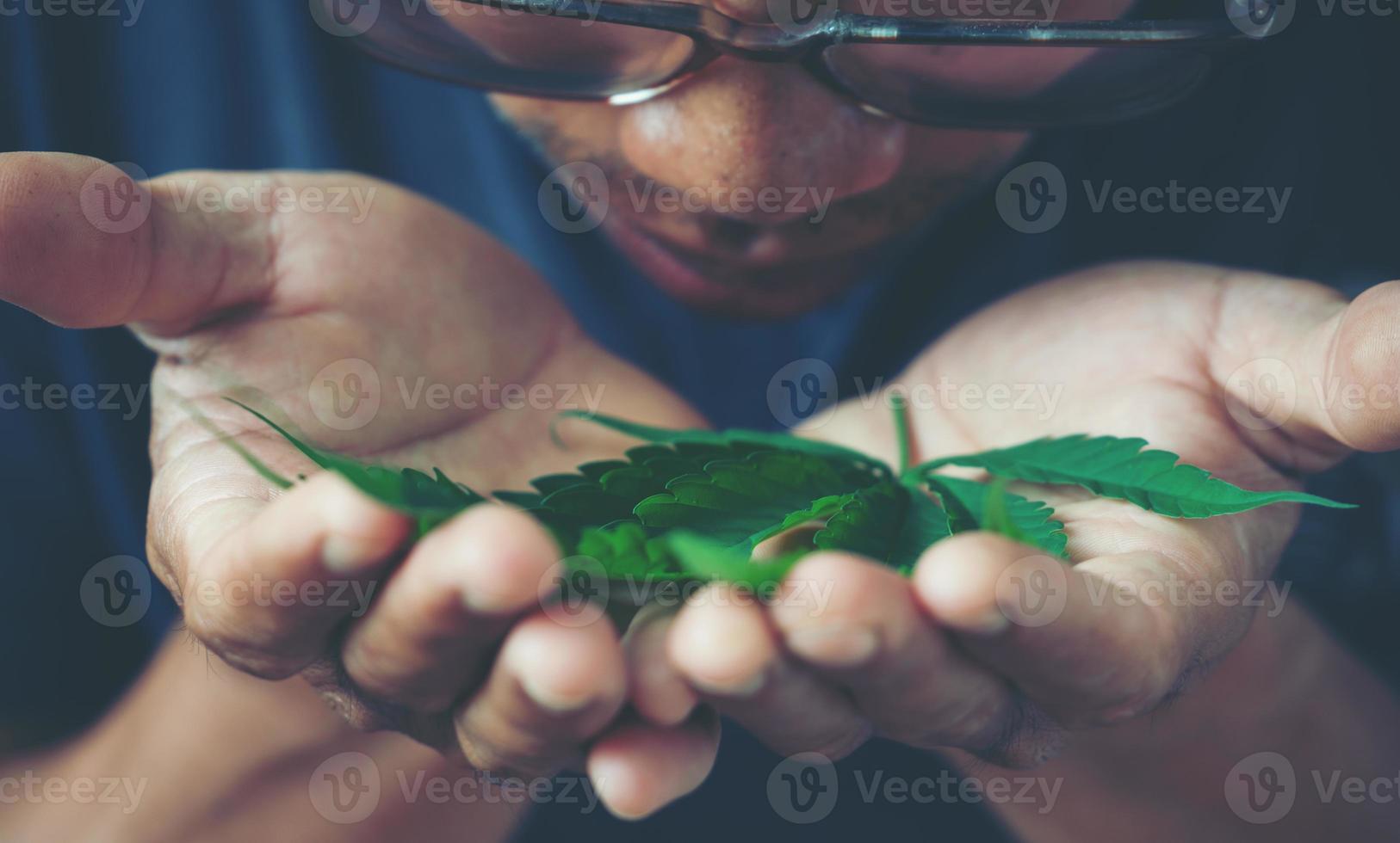 mão segurando folha de maconha foto