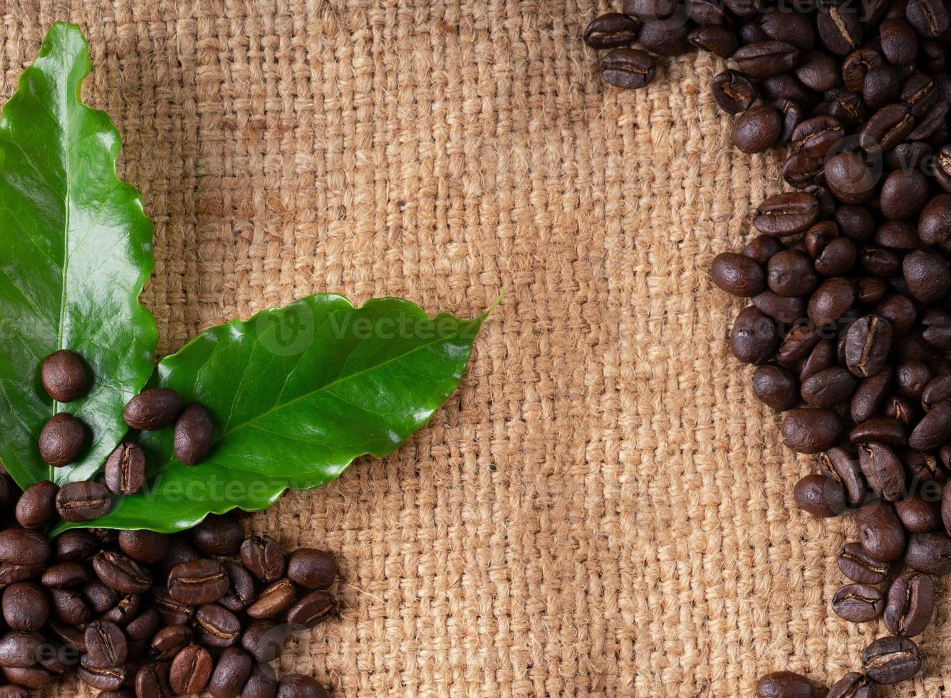 grão de café torrado em saco de linin foto