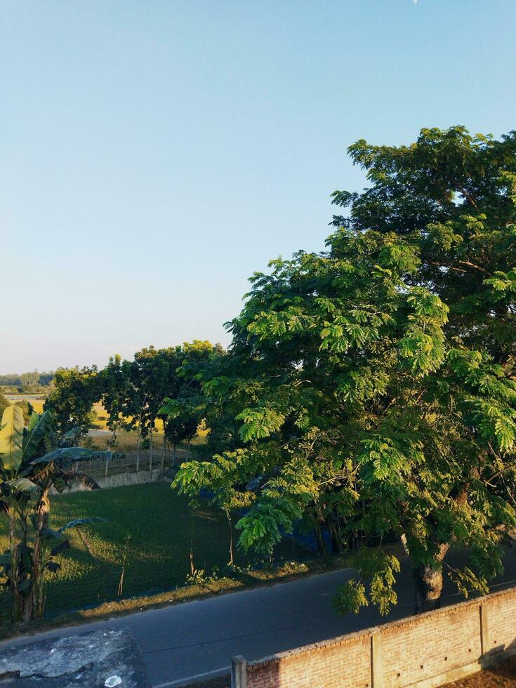 apreciar a hipnotizante cenário dentro a agradável tardes a partir de a telhado, foto