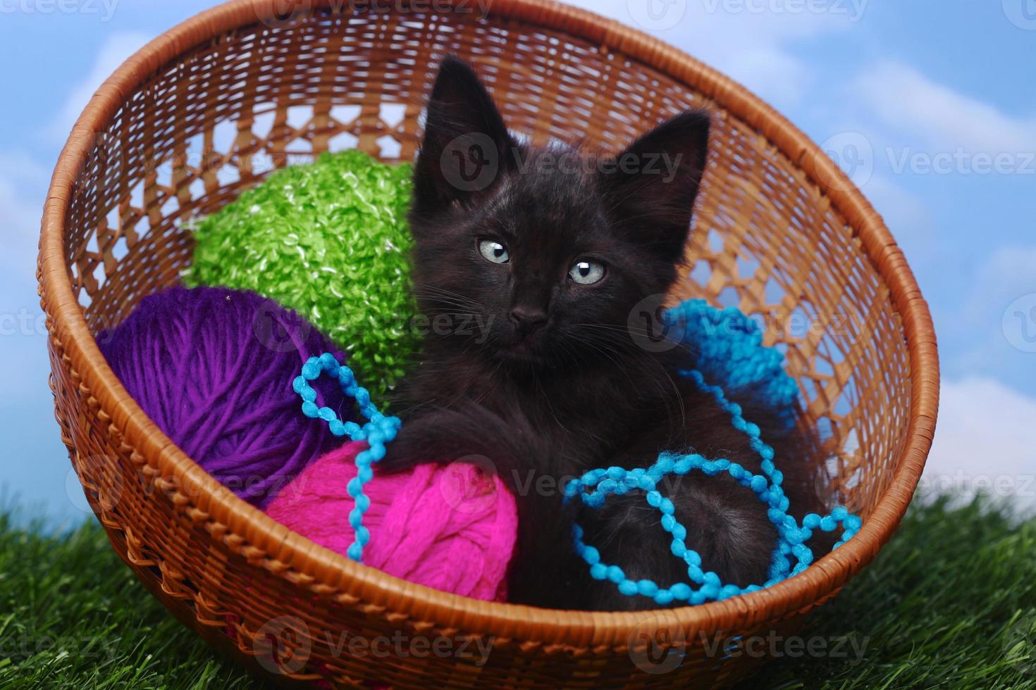 gatinho adorável em uma caixa cheia de fios foto