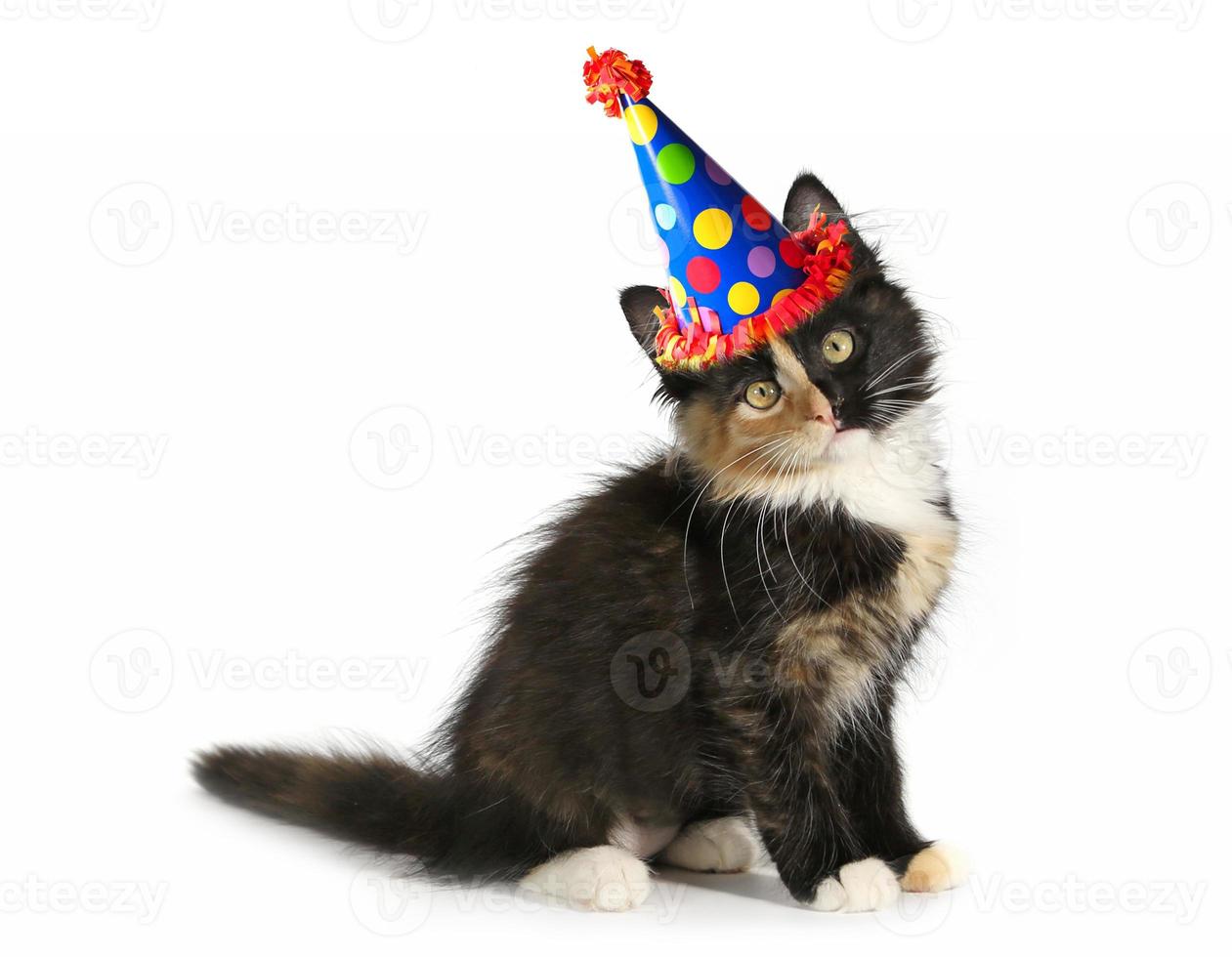 gatinho adorável em um fundo branco com chapéu de aniversário foto