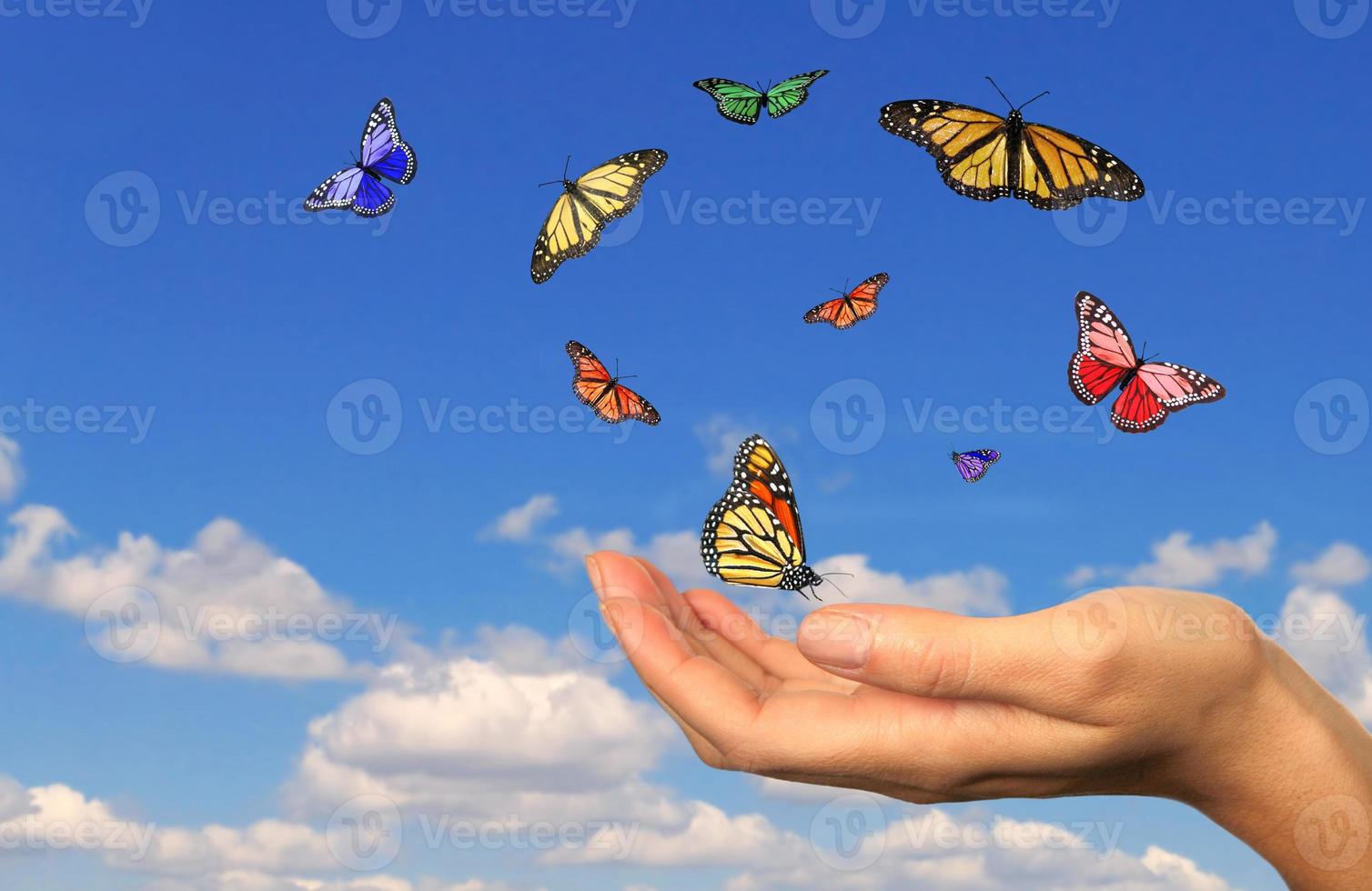 mão segurando borboletas soltas foto