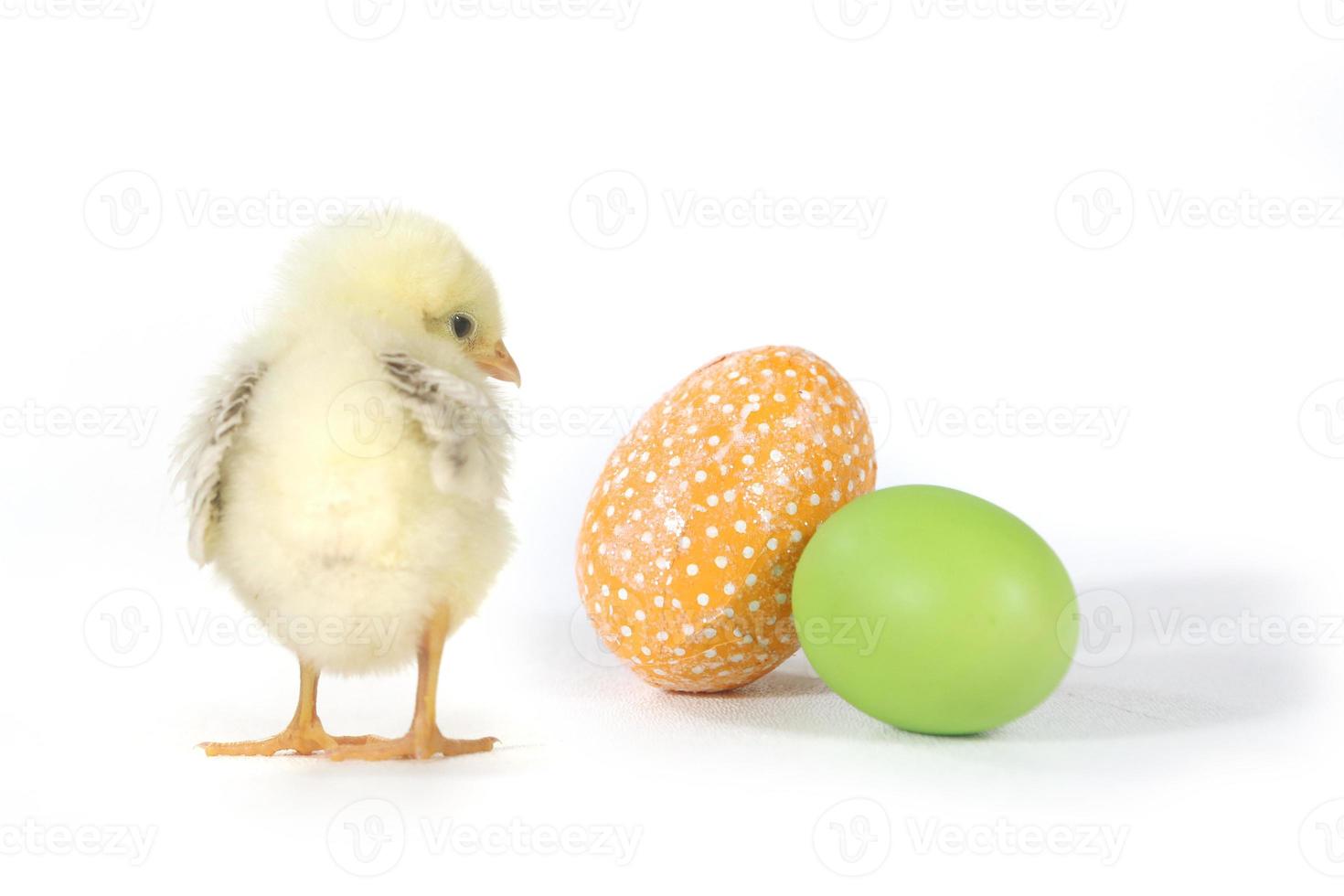 imagem temática de férias com pintinhos e ovos foto