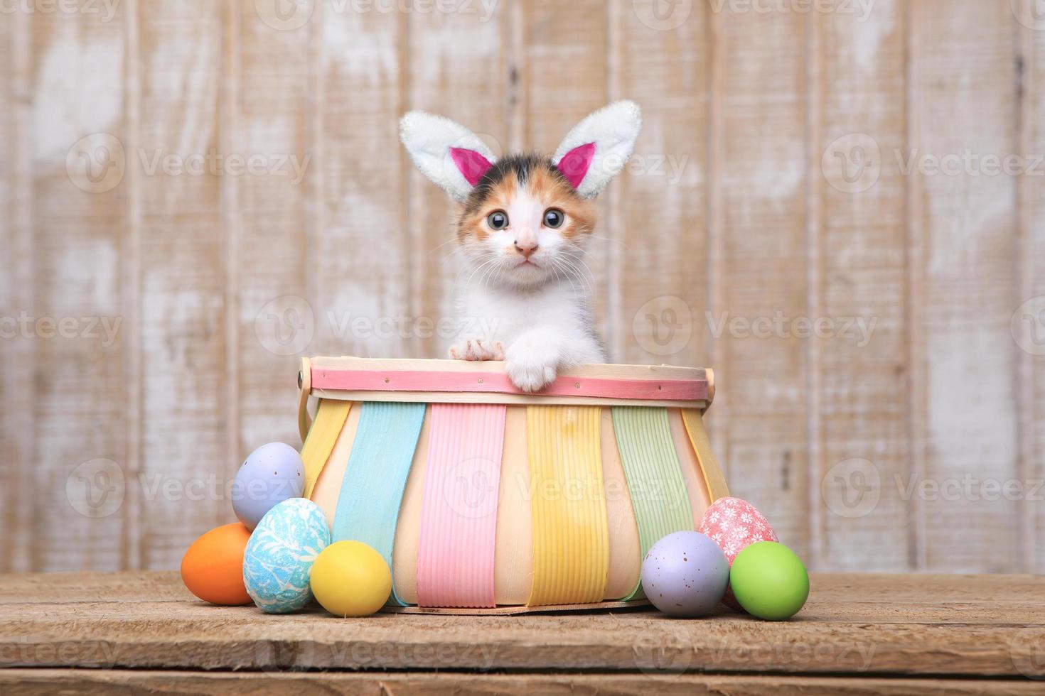 gatinho adorável dentro de uma cesta de páscoa com orelhas de coelho foto