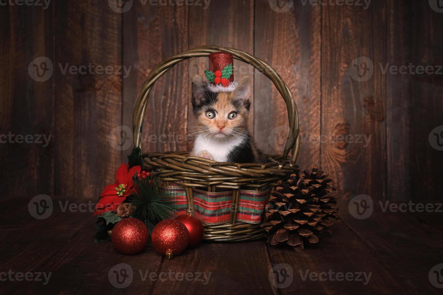 gatinho de chita com tema de natal em fundo de madeira foto