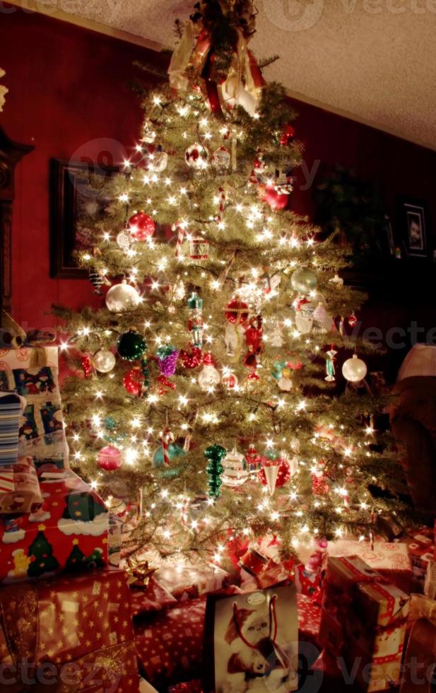 árvore de natal à noite foto