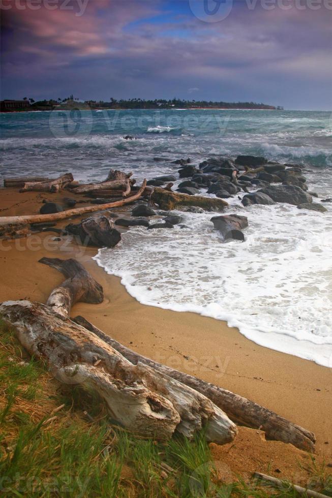 paisagem vertical de uma praia no havaí foto