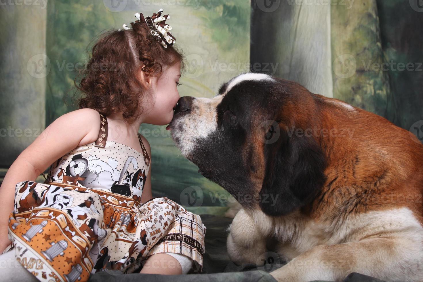 criança adorável e seu cachorrinho saint bernard foto