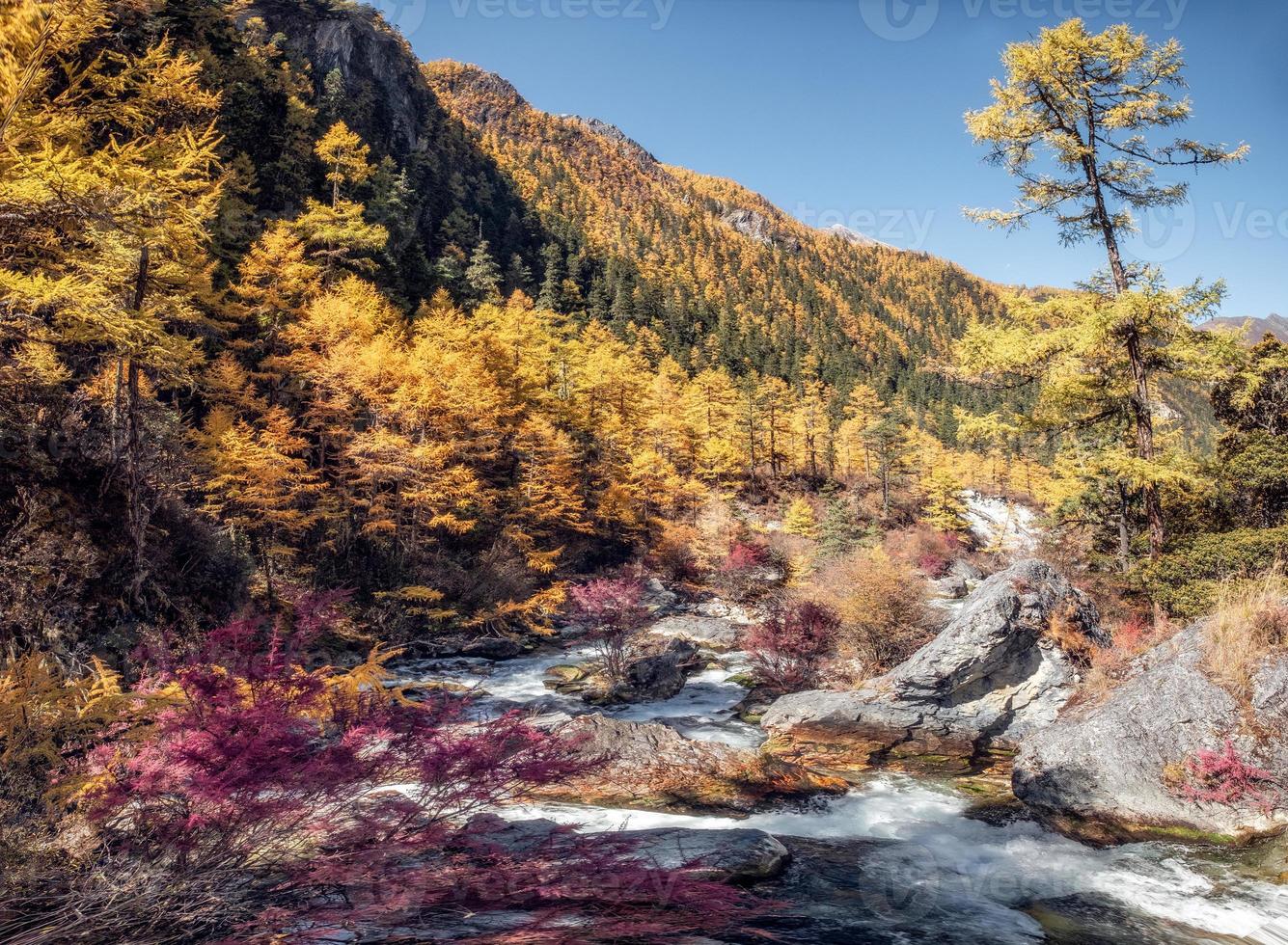 bela cachoeira na floresta de pinheiros de outono no parque nacional foto